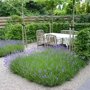 Beukenhaag als terrasafscheiding